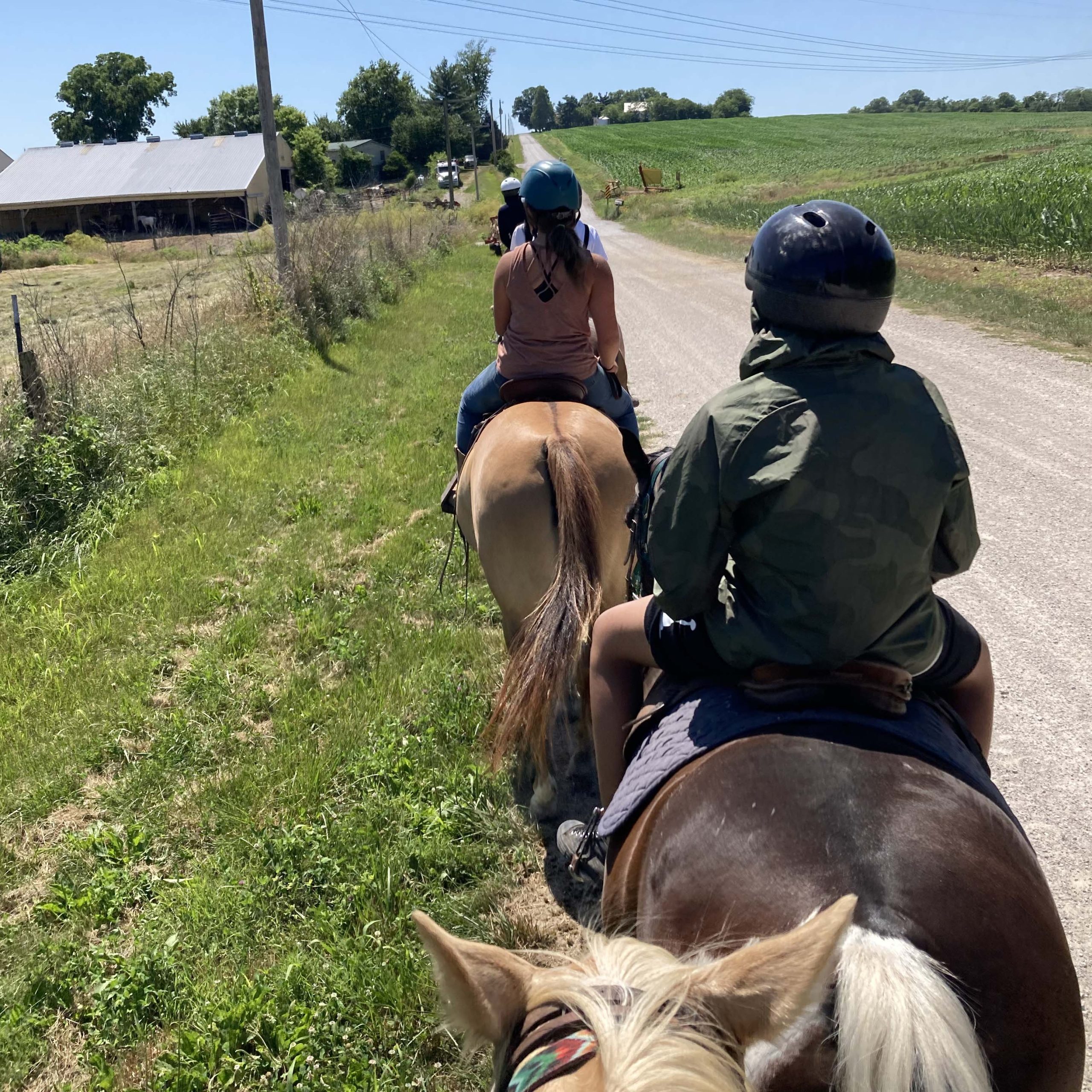 St. Louis scholars experiencing and learning how to ride horses on a trail ride excursion